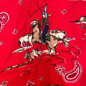 Susan Graver Red Western Print Vest plus skirt set
